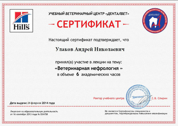 certificate_08_obo_mne
